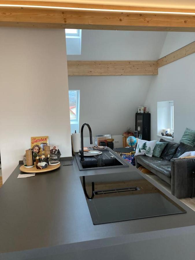 Neues Penthouse-Loft Mit Konuskarte Fuer Gratis Oepnv Apartamento Ehrenkirchen Exterior foto