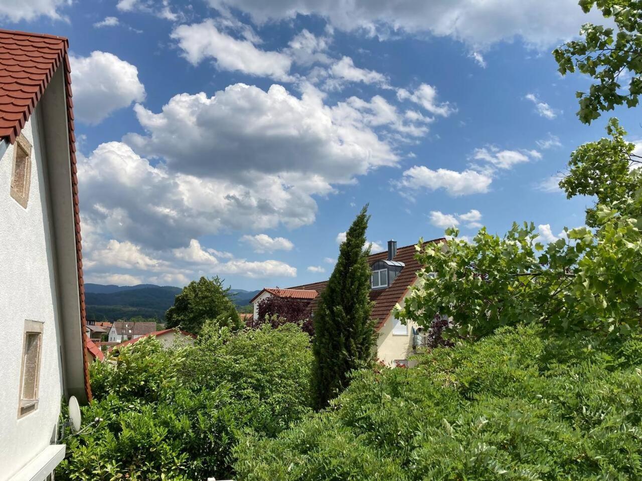 Neues Penthouse-Loft Mit Konuskarte Fuer Gratis Oepnv Apartamento Ehrenkirchen Exterior foto