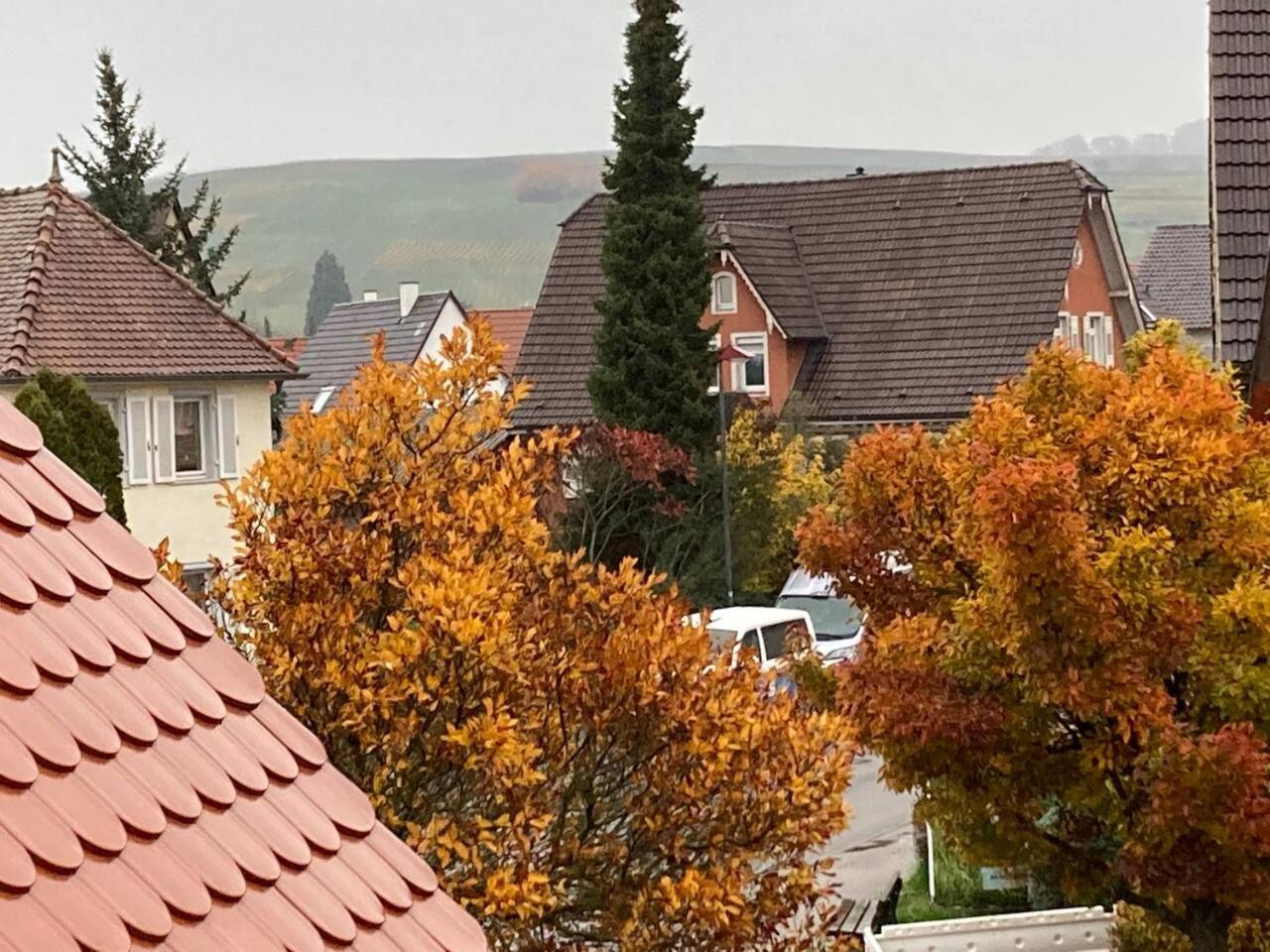 Neues Penthouse-Loft Mit Konuskarte Fuer Gratis Oepnv Apartamento Ehrenkirchen Exterior foto